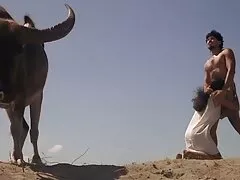 এশিয়ান, উভমুখি বাংলা সেক ভিডি যৌনতার