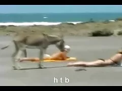 প্রতিদিন-পিটি জন্য দেশি ভিডিও সেক্স দাস 1-2
